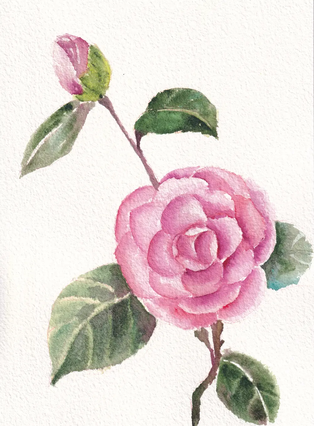 Watercolour painting